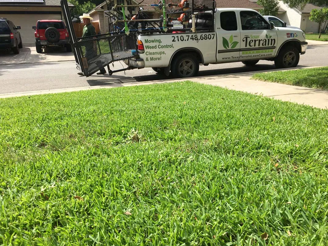 green lawn