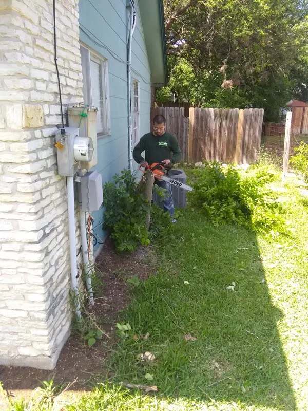 trimming